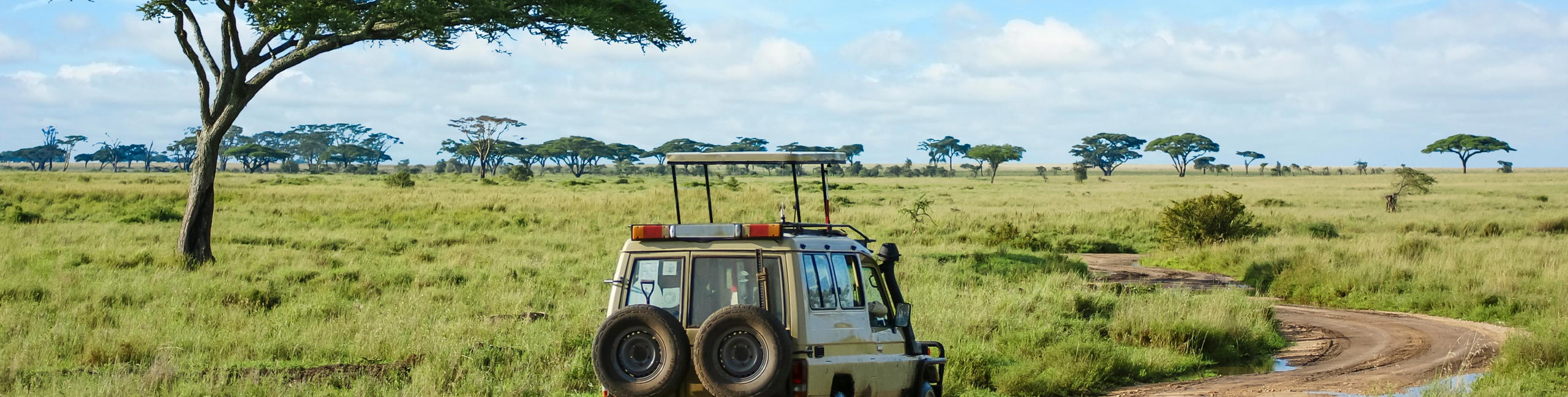 Tanzania Safari & Zanzibar Beach Holiday - Tour