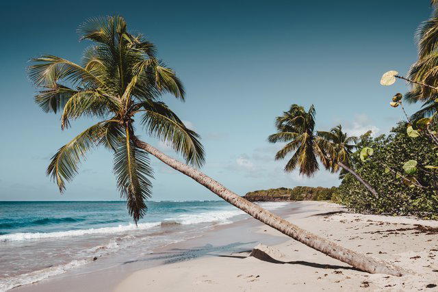 Beach Holidays - Collection