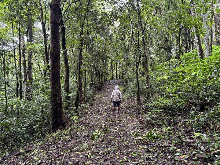 Backpacking Trip to Unexplored Chikkamagaluru - Tour