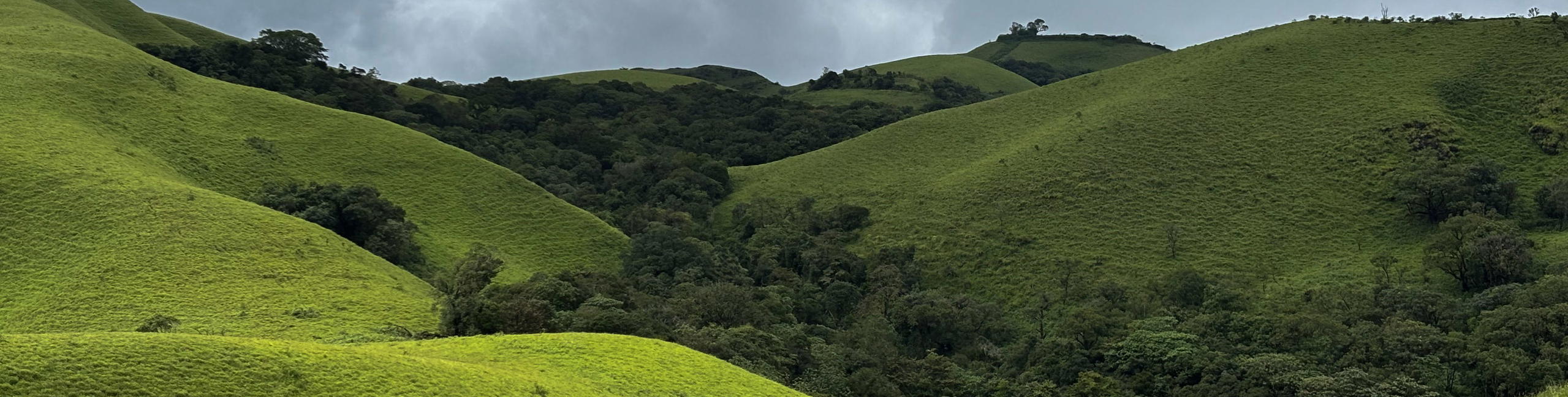 Karadikallu Trek, Chikmagalur - Tour