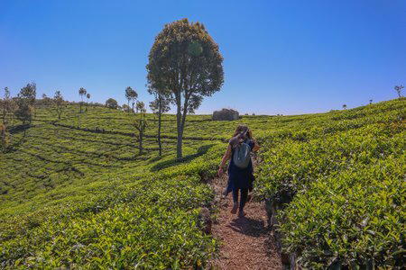 Kotagiri Trek, Ooty