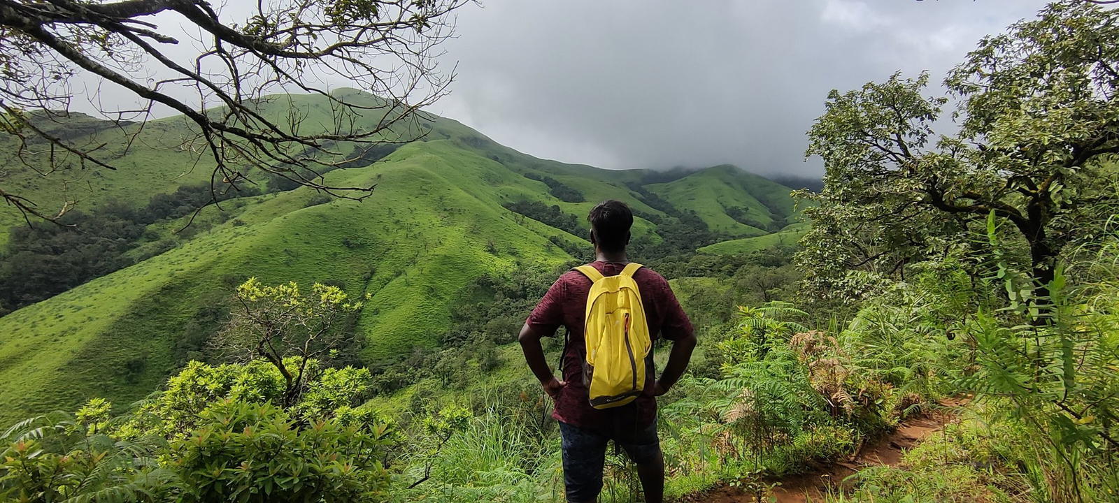 Netravati Peak Trek, Chikmagalur - Special Batch - Tour