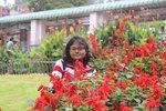 Testimonial by Nilanjana Chowdhury