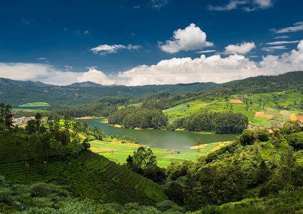 Ooty Backpacking Trip from Bangalore