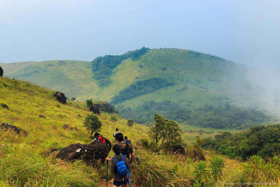 Tadiandamol Trek - Tour