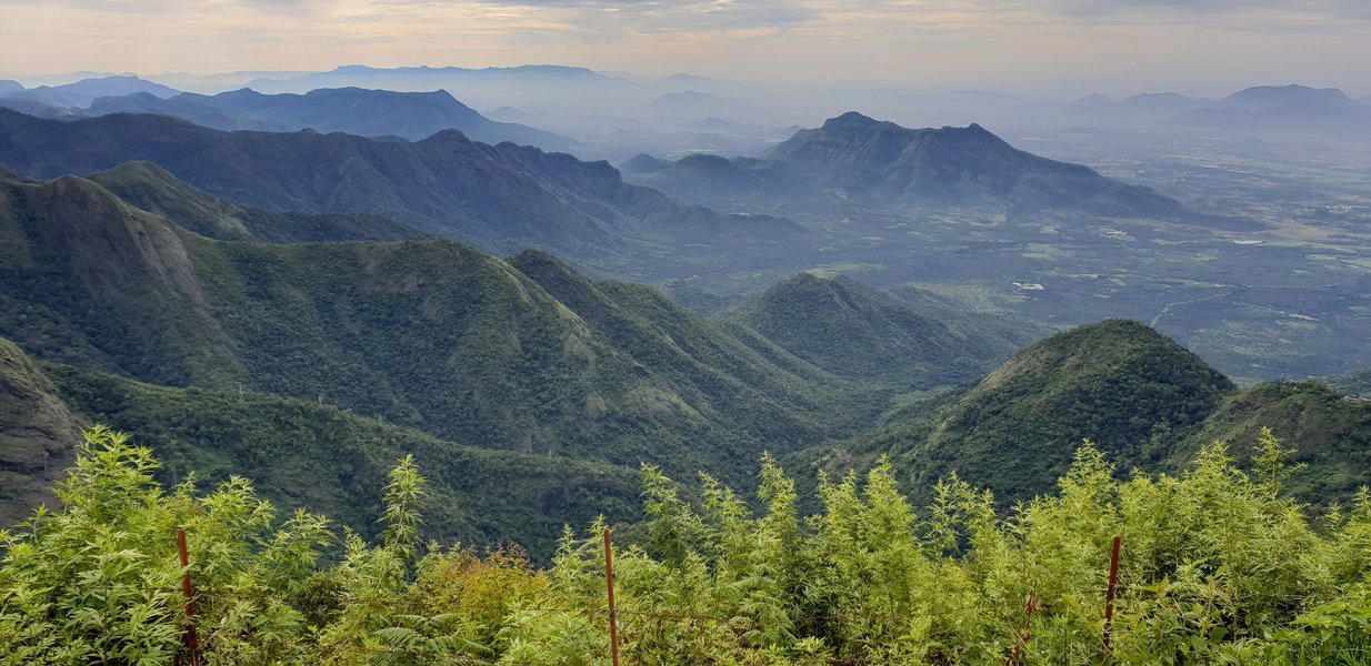 Trek to Canopy Hills, Vattakanal - Kodaikanal - Tour